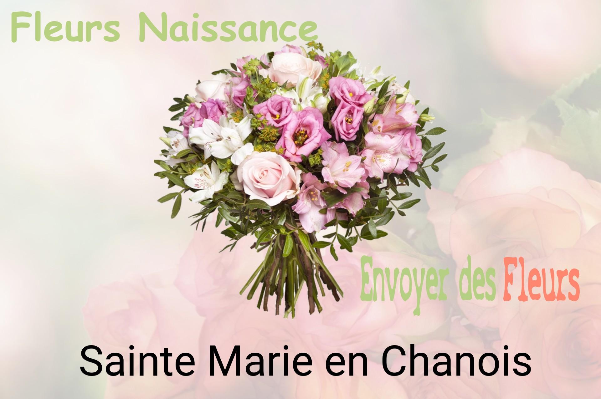 Bouquet de fleurs de naissance livré à Sainte-Marie-en-Chanois